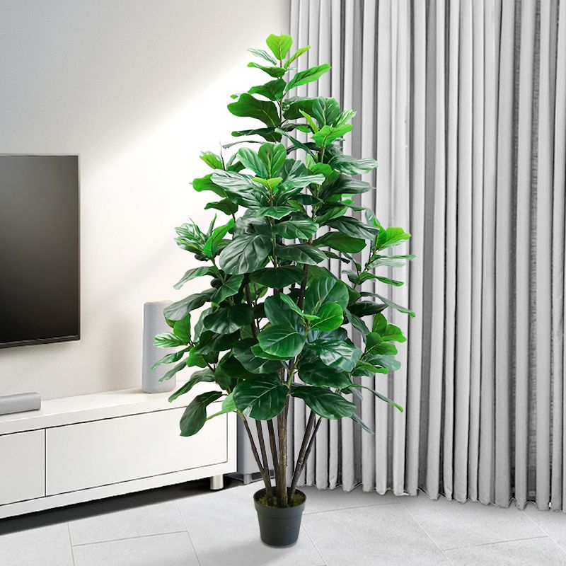 Искусственное тропическое дере – обзор и цена Ficus Lyrata Tree